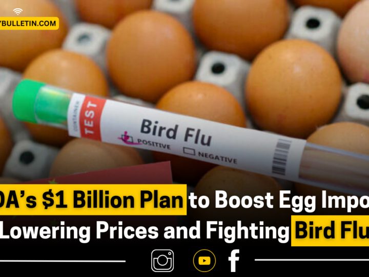 USDA’s $1 Billion Plan to Boost Egg Imports: Lowering Prices and Fighting Bird Flu