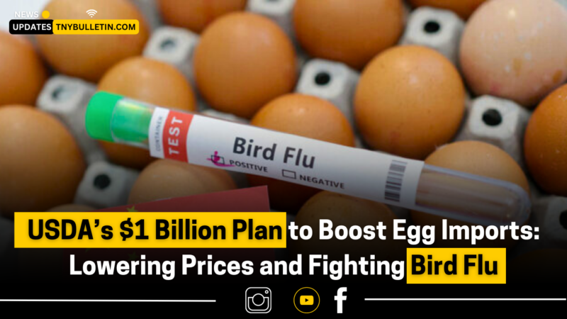 USDA’s $1 Billion Plan to Boost Egg Imports: Lowering Prices and Fighting Bird Flu