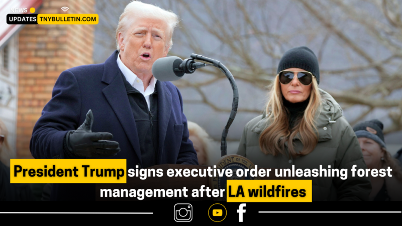 President Trump Signs Executive Order on Forest Management Following LA Wildfires: Goals, Impact, and Debates